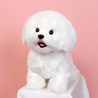 위더펫 비숑 30cm 리얼 강아지 실사 장난감 인형 G9