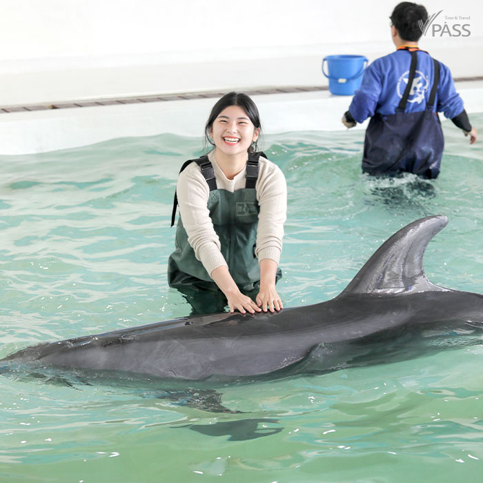 제주 아이들과 볼거리 제주실내관광지 마린파크 추천! (4세 조련사 체험기)