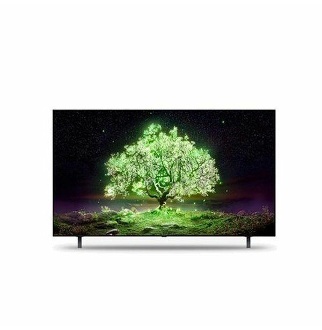LG OLED TV 163cm OLED65A1N  단품명 OLED65A1NNA - LG전자