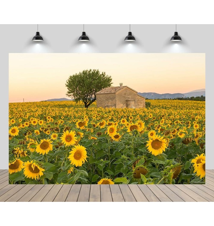 CHNYWORK 7ftx5ft Sunflowers Field Backdrop Beautiful Rural S - 티몬